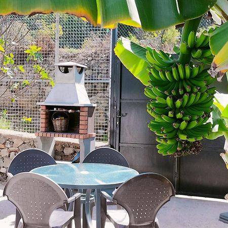 Casa Lipa Villa La Guancha Ngoại thất bức ảnh
