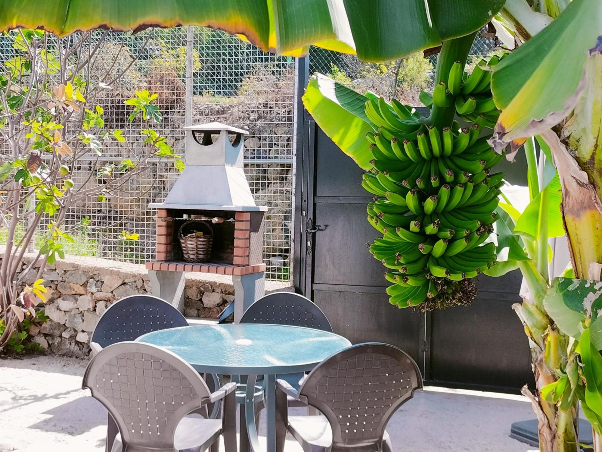 Casa Lipa Villa La Guancha Ngoại thất bức ảnh